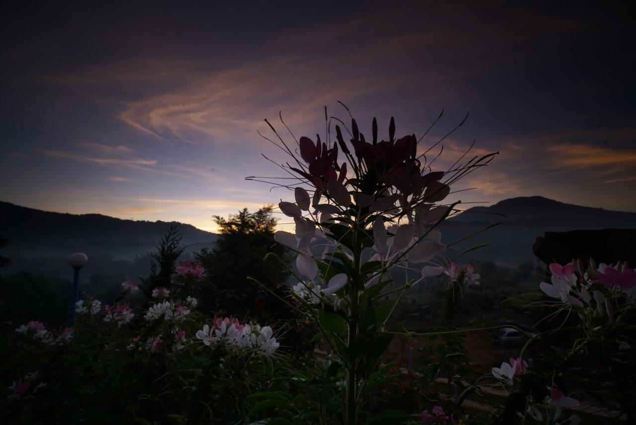 Khaokho Punsukphumok Hotel Khao Kho Buitenkant foto