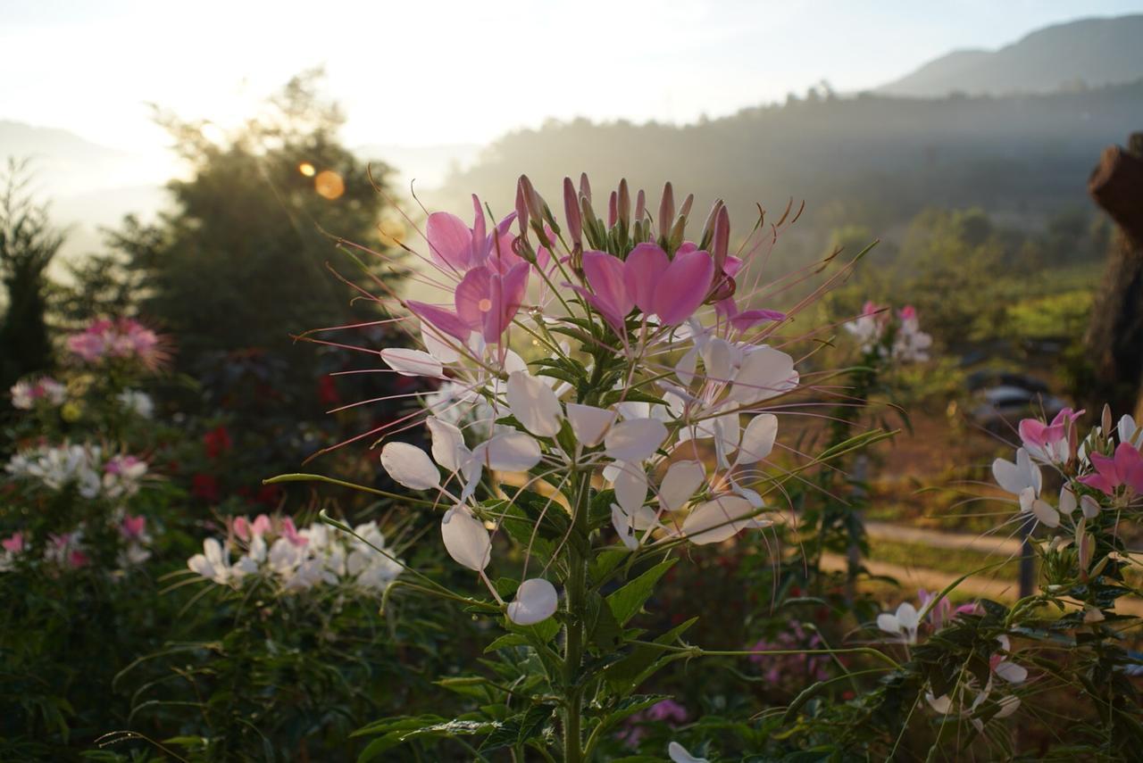 Khaokho Punsukphumok Hotel Khao Kho Buitenkant foto