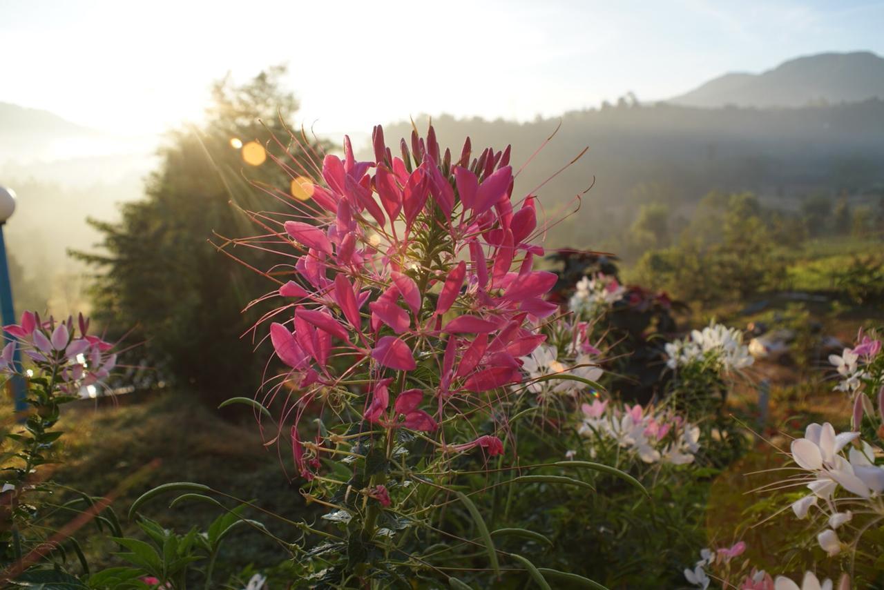 Khaokho Punsukphumok Hotel Khao Kho Buitenkant foto