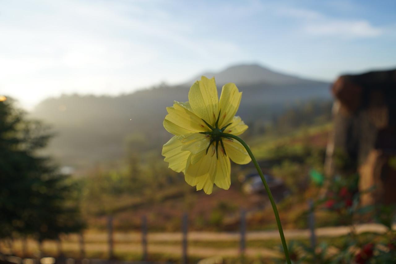Khaokho Punsukphumok Hotel Khao Kho Buitenkant foto